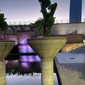 Meet your Posher, Bryan